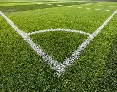 董文华,岁发声,揭开昔日,星空体育平台,星空体育官方网站,星空体育登录入口,星空体育app下载