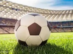 赛恩斯,日机构调研,活动,星空体育平台,星空体育官方网站,星空体育登录入口,星空体育app下载