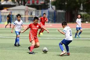 海贼王,新动画电影,揭秘,星空体育平台,星空体育官方网站,星空体育登录入口,星空体育app下载