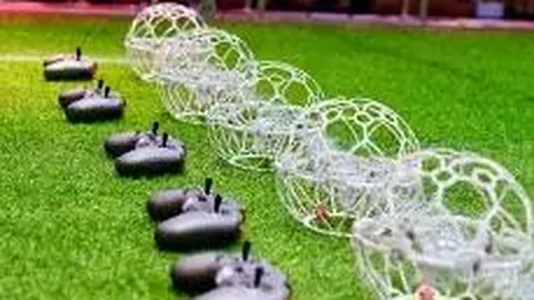 赛恩斯：11月19日机构调研活动，南方、国泰海通等在列