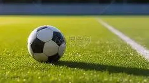 星空体育 资讯 085819 n4j